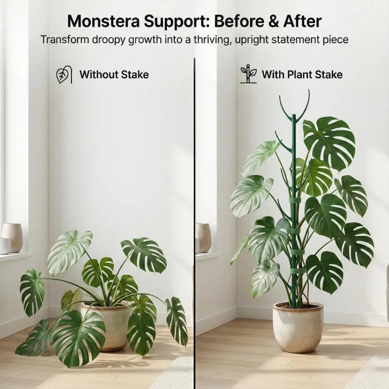 Plastic Plant Support Stakes for Climbing Stems - 2