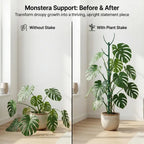 Plastic Plant Support Stakes for Climbing Stems