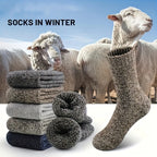 Polyester Elastane Blend Crew Socks 5 Pack