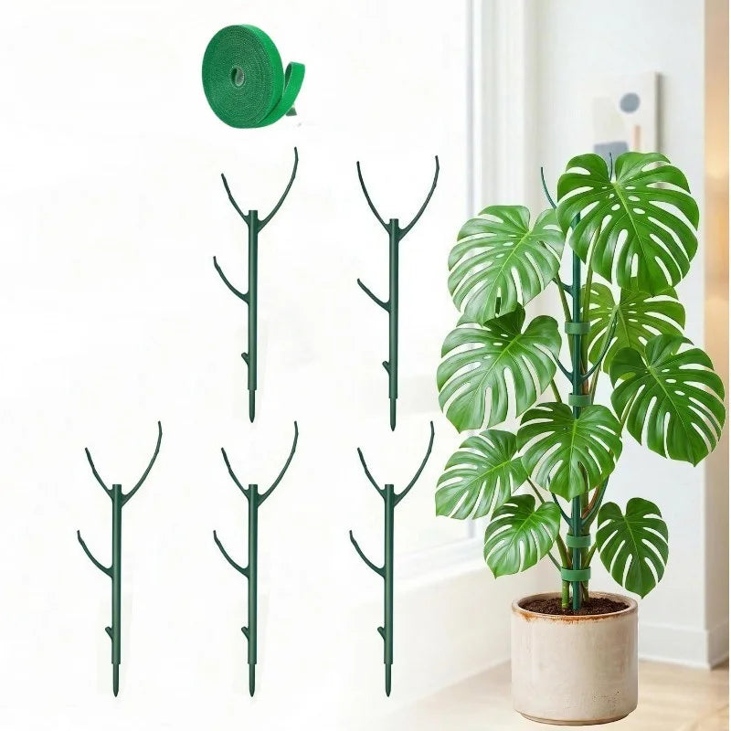 Plastic Plant Support Stakes for Climbing Stems