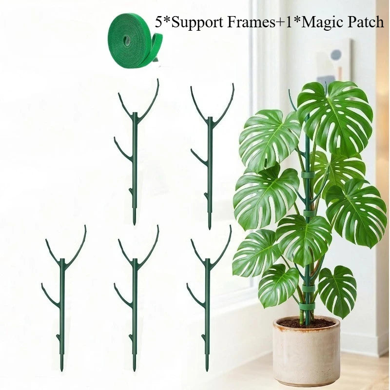 Plastic Plant Support Stakes for Climbing Stems - 15