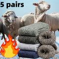 Polyester Elastane Blend Crew Socks 5 Pack