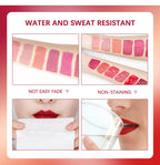 Matte Velvet Liquid Lipstick Waterproof Long Lasting Lip Glaze