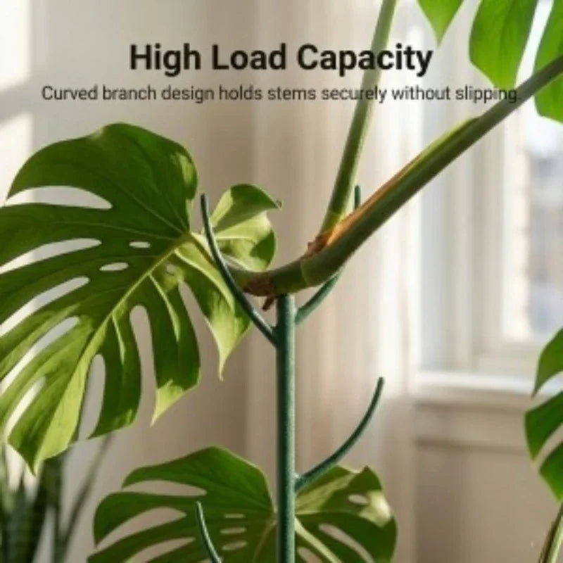 Plastic Plant Support Stakes for Climbing Stems
