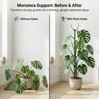 Plastic Plant Support Stakes for Climbing Stems