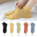 Cotton Polyester Mesh Ankle Socks for Women