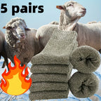 Polyester Elastane Blend Crew Socks 5 Pack