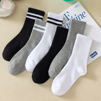 Polyester Elastane Crew Socks 6 Pairs