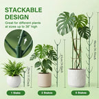 Plastic Plant Support Stakes for Climbing Stems