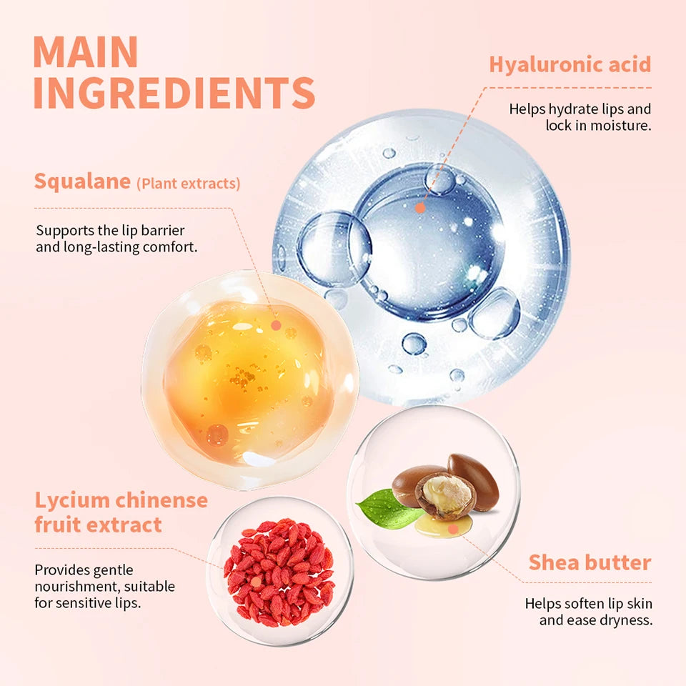 Tinted Moisturizing Lip Balm For Dry Chapped Lips